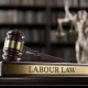 top employment law firms