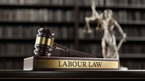 top employment law firms