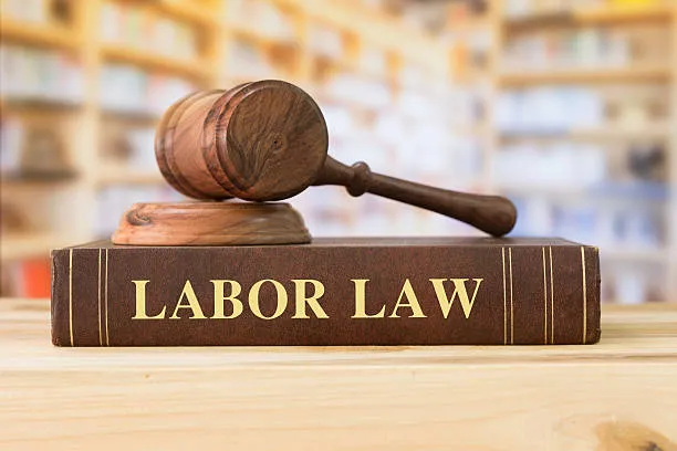 top employment law firms