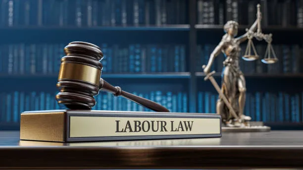 law labour advisor
