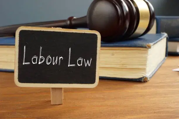 law labour advisor