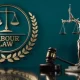 law labour advisor