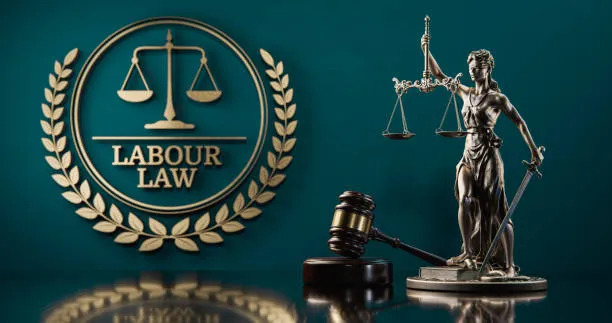 law labour advisor